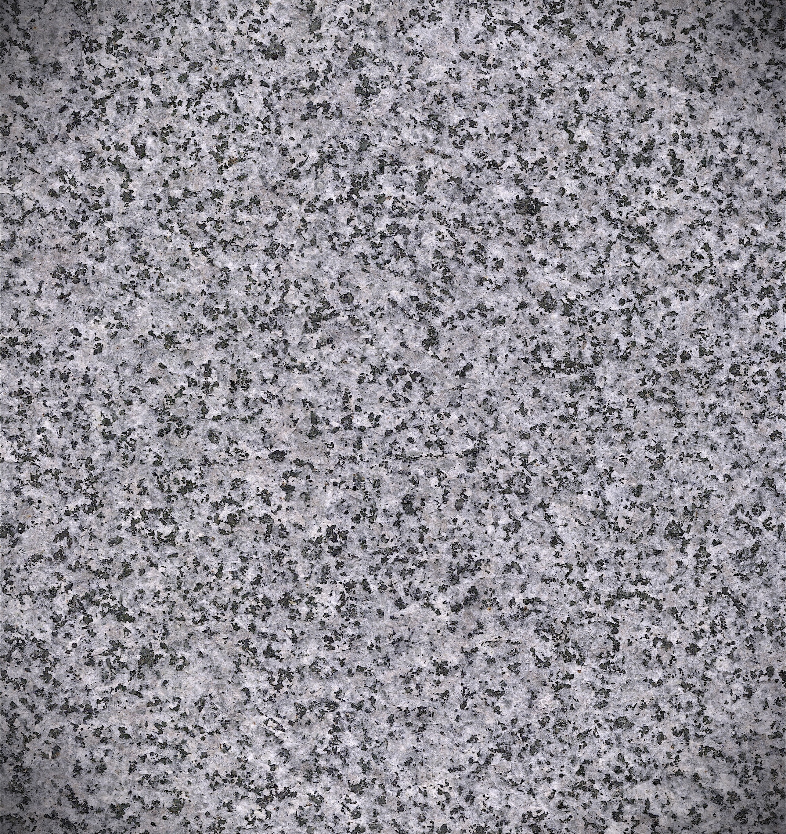 Republican George Grey (Exfoliated)