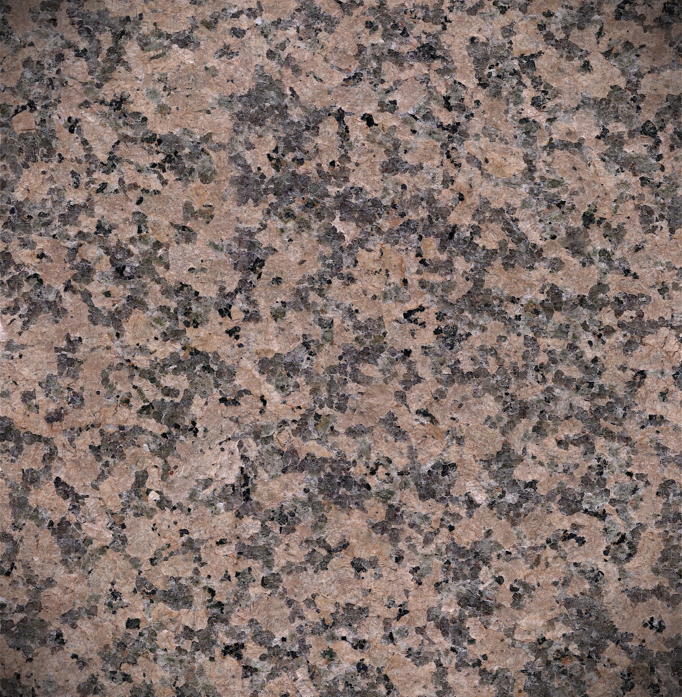 Republican Mosaic (Exfoliated Finish)