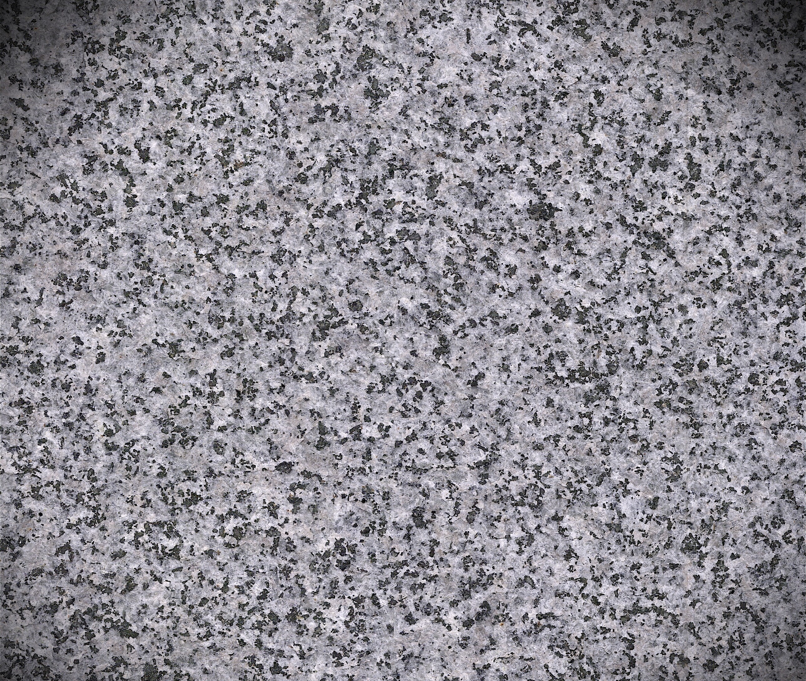 Republican Roma Grey