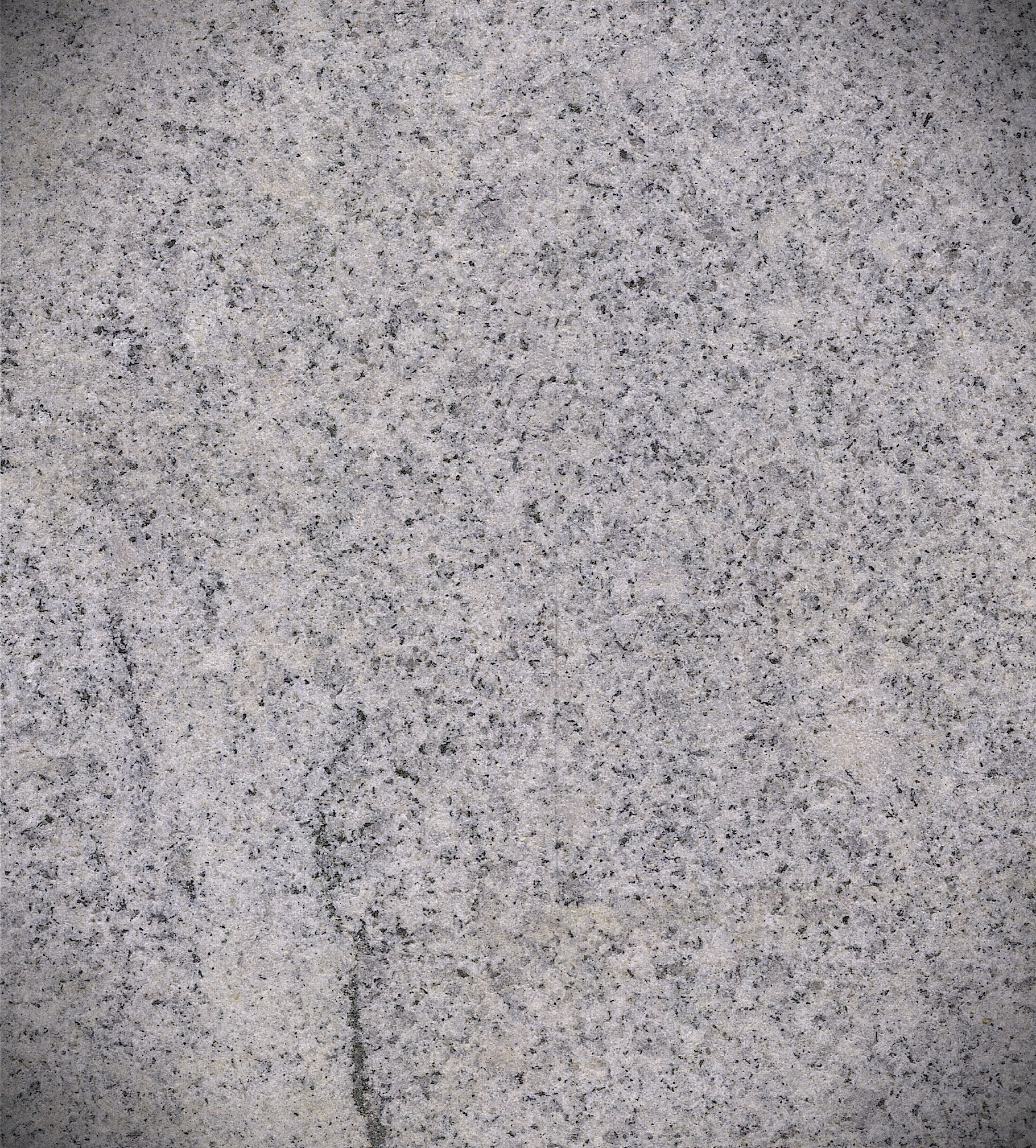 Republican Venetian White (Exfoliated)