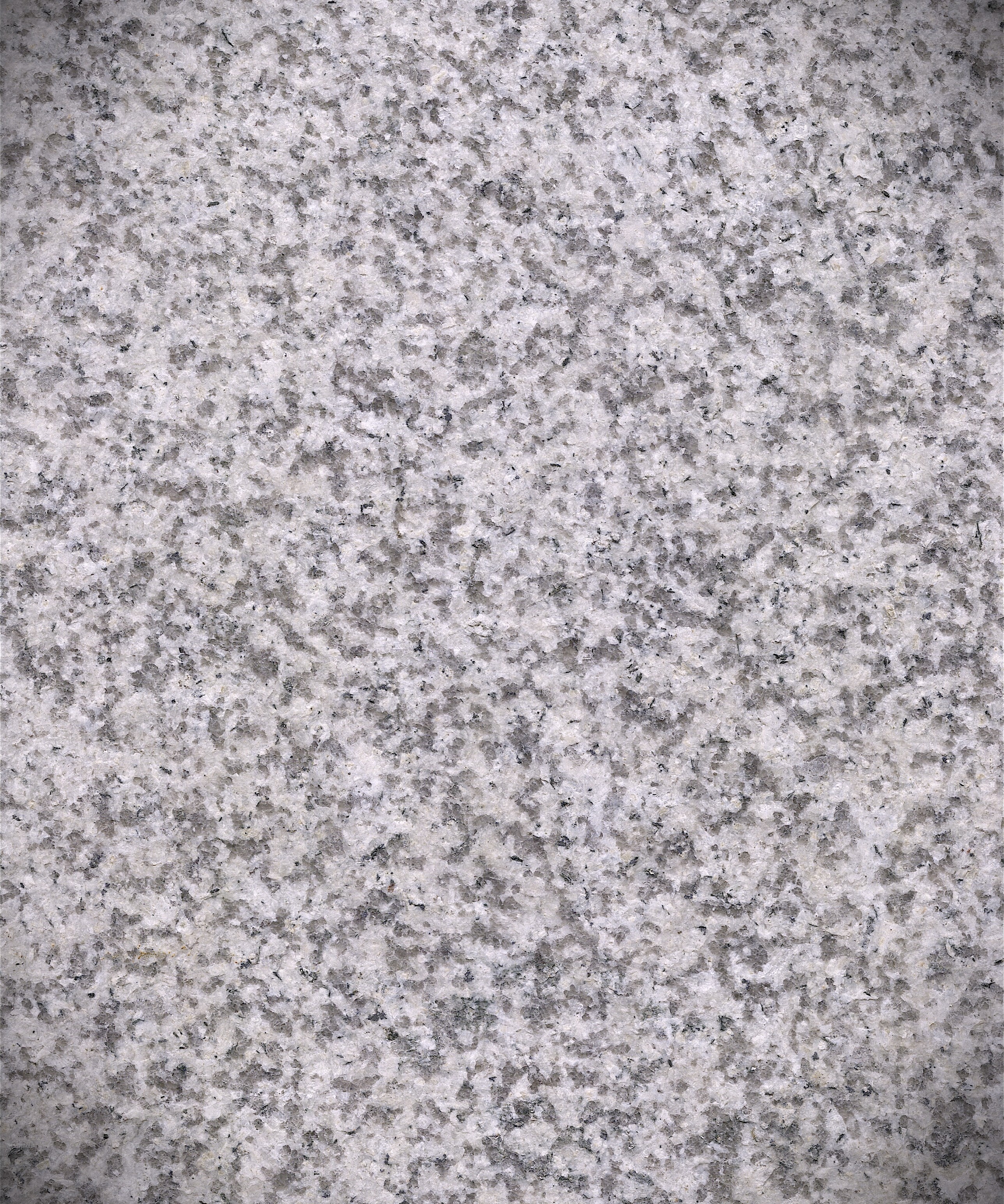 Republican White Coarse Grain (Exfoliated)