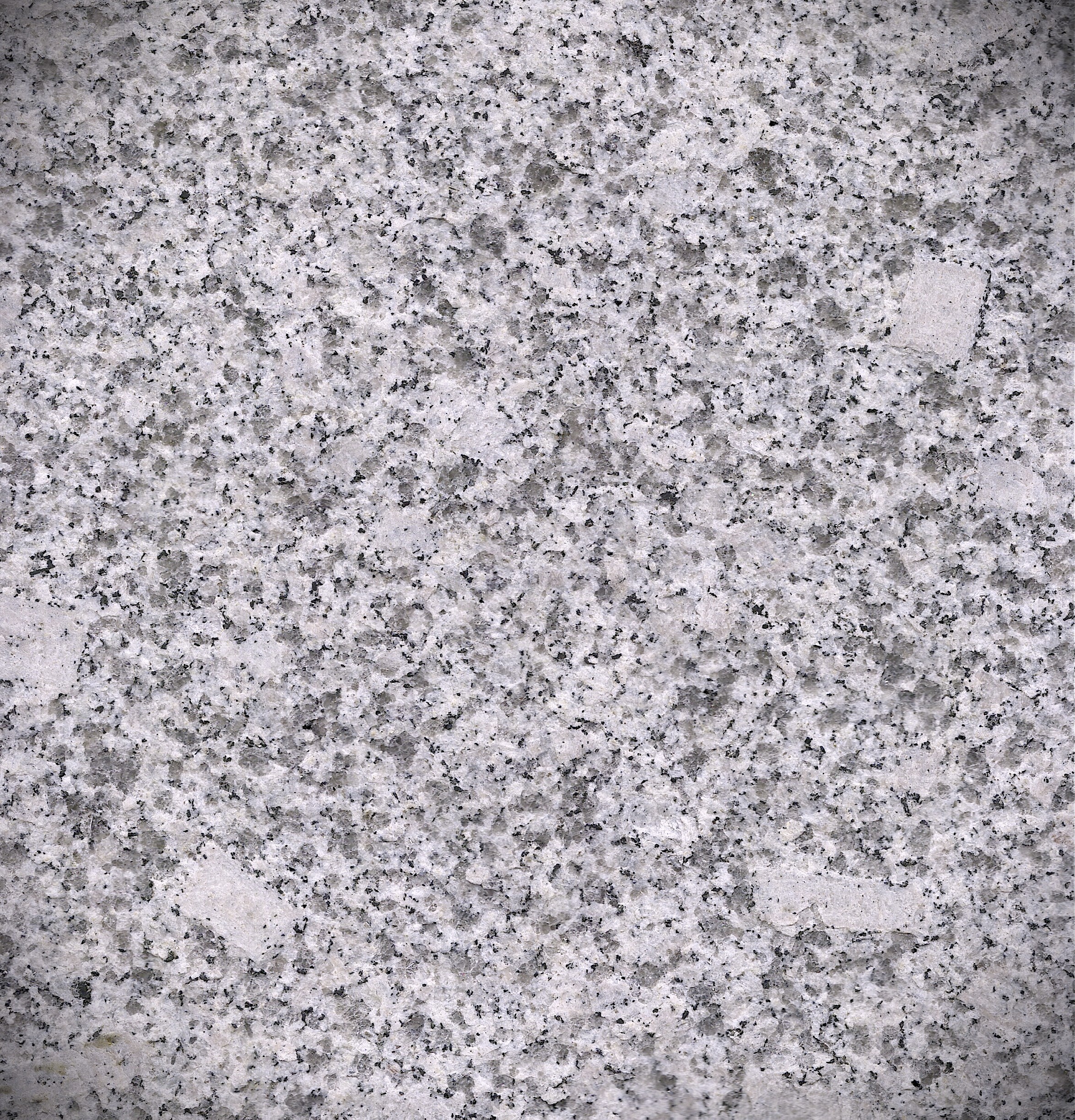 Republican White Fine Grain (Exfoliated)